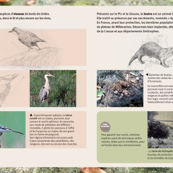 la gioune et le pic : sites rivières sauvages