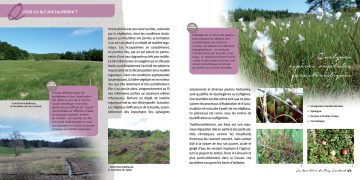 la tourbière de puy lautard : 6000 ans d’histoire